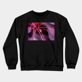 Royal Purple Smoke Bush Crewneck Sweatshirt